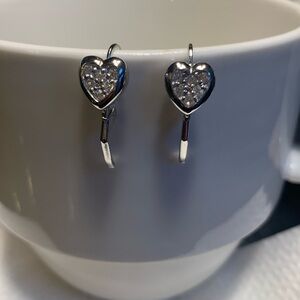 Huggie Earrings